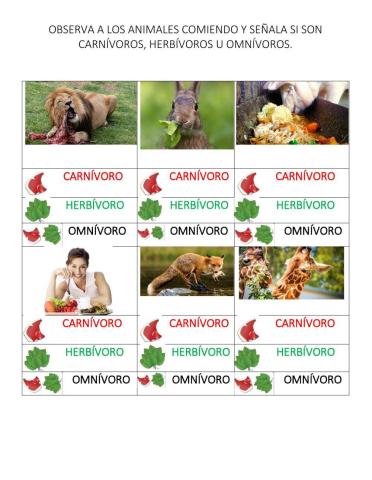 Clasificación de los animales según su alimentación