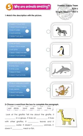 Present Simple Tense - Bright Ideas 2 - UNIT 5