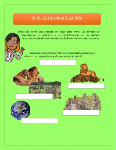 Niveles de organización -Ecosistemas