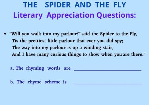 The spider and  the fly