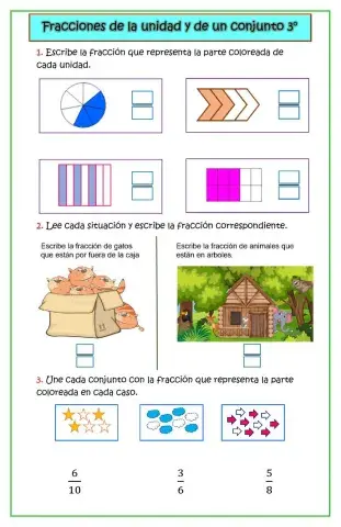 Fracciones de la unidad y del conjunto
