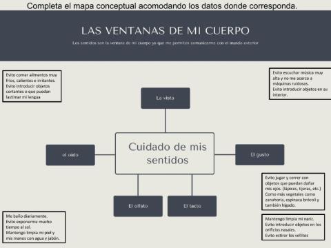 Las ventanas de mi cuerpo