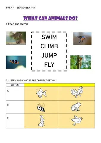 What can animals do?