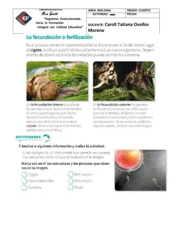 Reproducción sexual en animales