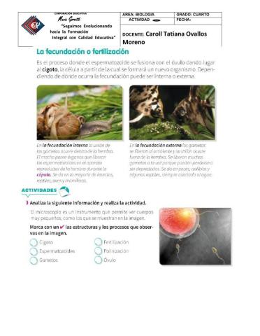 Reproducción sexual en animales