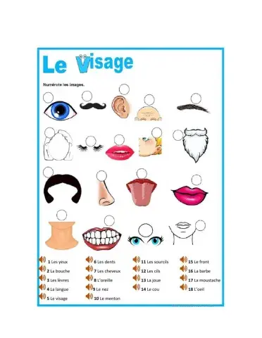 Le visage