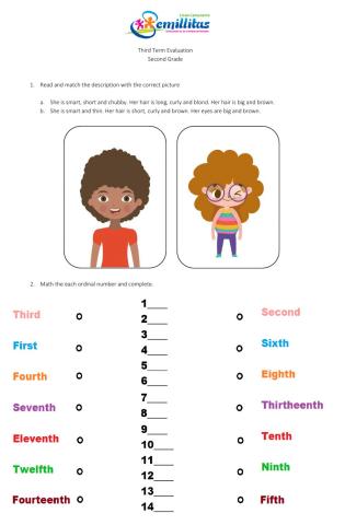 Third Term Evaluation 2º