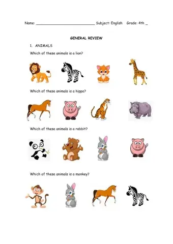 Animals