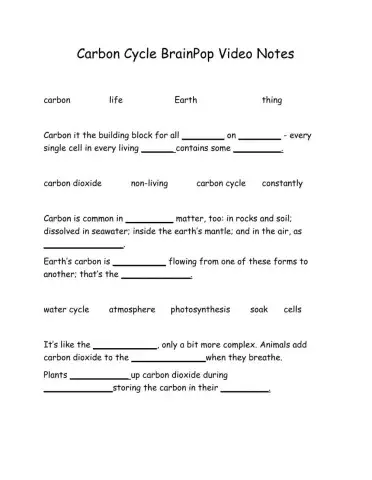 Carbon Cycle BrainPop Video Notes