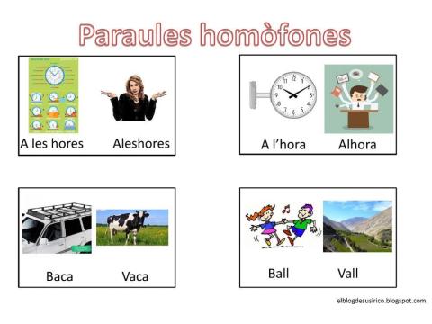 Paraules homòfones (làmines visuals)