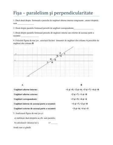 fisa- paralelism si perpendicularitate