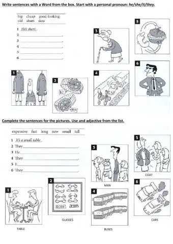 Write sentences using adjectives