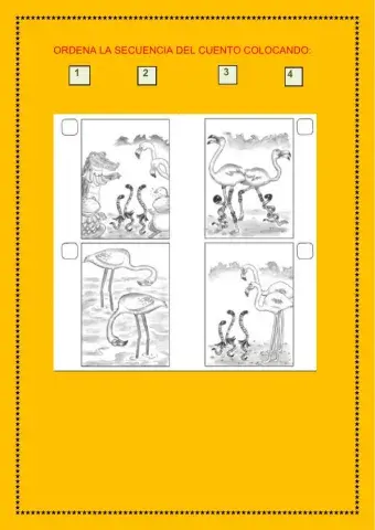 Las medias de los flamencos