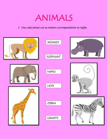 Animals