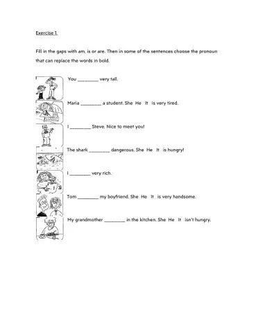 Verb to be (I You He She It)