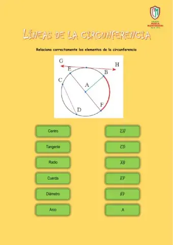 Líneas de la circunferencia