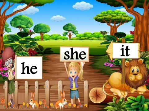 Pronouns