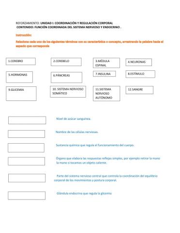 Sistema nervioso y sistema endocrino