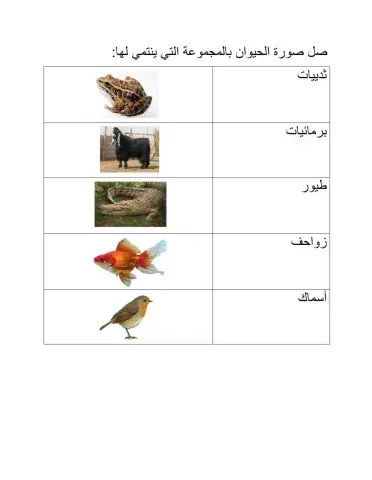 موجوعات الحيوانات