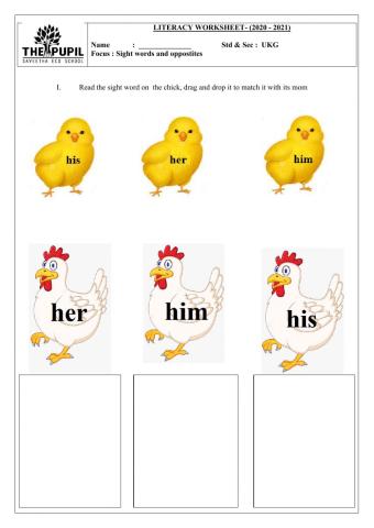 Sight word and opposites