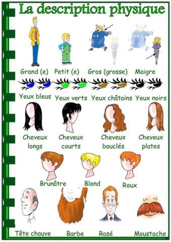 La description physique