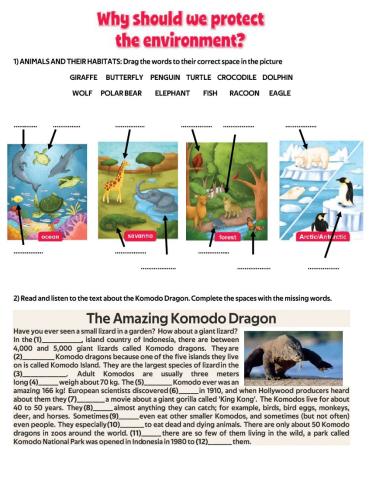 Animals and habitats: the komodo dragon