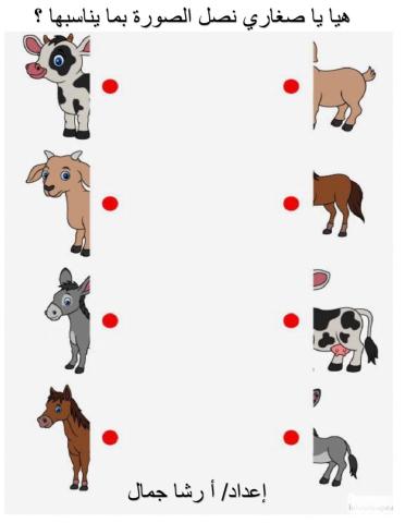 صل الشكل بالصورة المناسبة