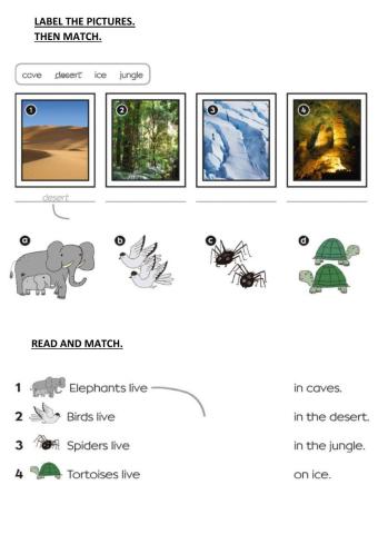 Where do animals live?