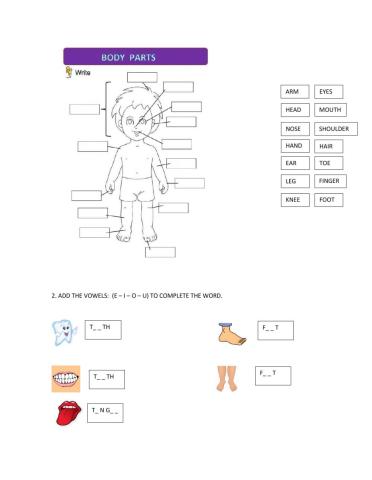 Body parts and senses