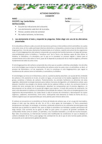 Actividad diagnóstica