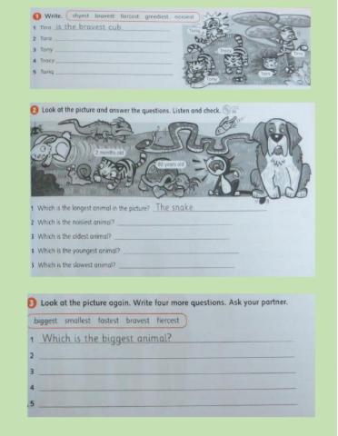 Superlative Adjectives Practice