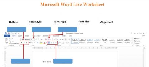 Microsoft Word