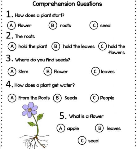 Parts of the plant: reading comprehension