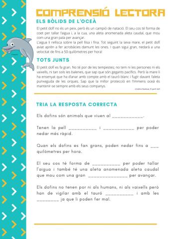 Comprensió Lectora Dofins