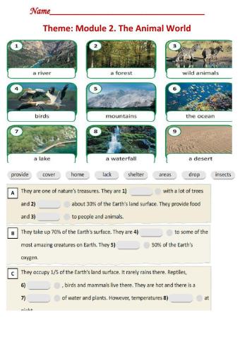 Action 11  Module 2 Made by Zhanar Habibullina