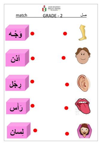 صل بين الكلمة و الصورة