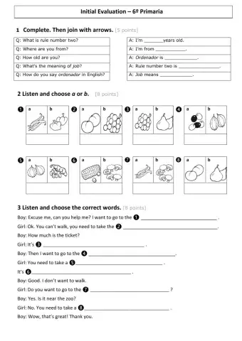 Initial Evaluation Grade 6