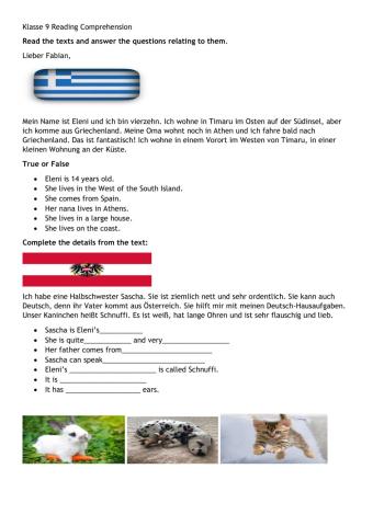 Klasse 9 End of term test