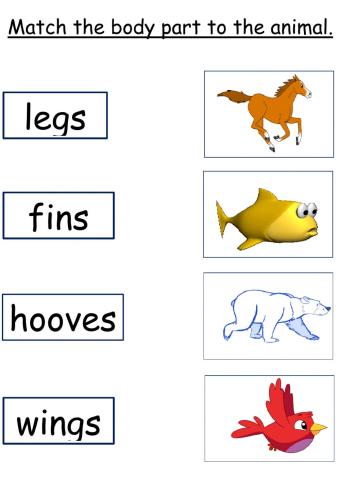 Animal Parts