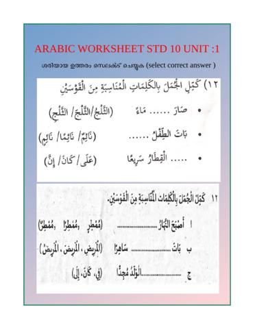 Class 10 worksheet  unit 1