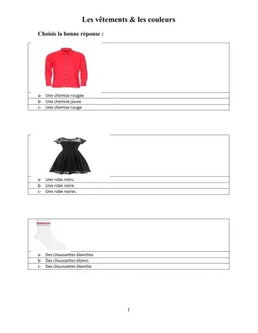 L'accord de l'adjectif