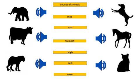 Match the following with sounds