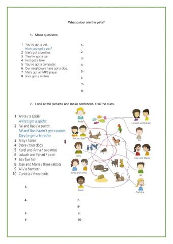 What colour is your pet?