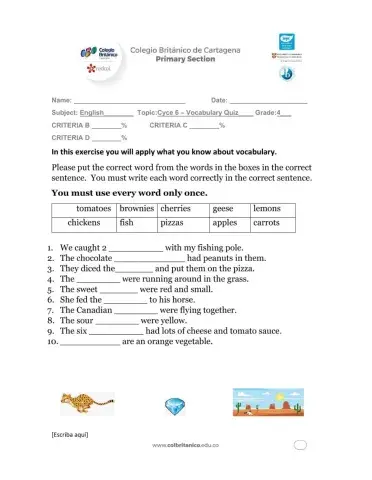 Cycle 6 - Vocabulary