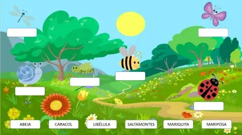 Nombres de insectos