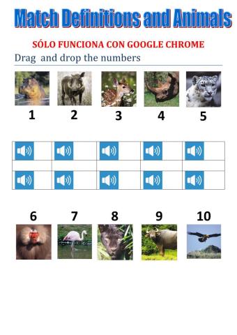 Match animals and definitions tiger team 5 macmillan