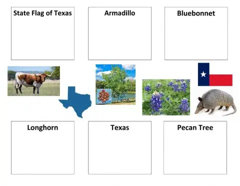 State of TX symbols - picture matching