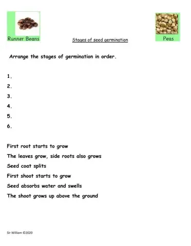 Germination process