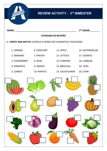 Review Activity - Unit 3 3rd Grade