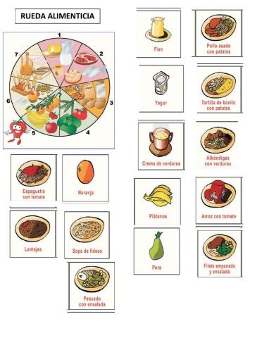 Rueda alimenticia